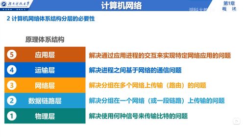 计算机网络 连接未来的基石——从湖南科技大学到湖大教书匠的网络技术服务启示